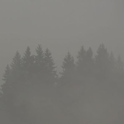 Donnerwetter - Vinilo
