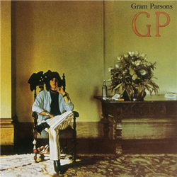 Gp - Vinilo características