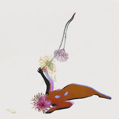 The Far Field - Vinilo
