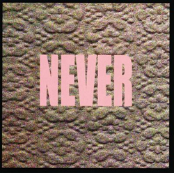 Never - Vinilo en oferta