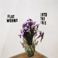 Into the iris - Vinilo 12" precio