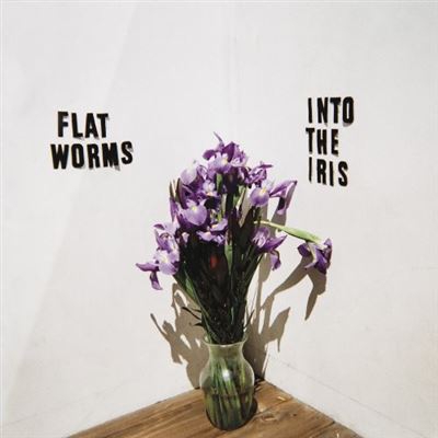Into the iris - Vinilo 12"