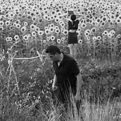 Jesu/Sun Kil Moon - Vinilo características