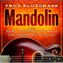 True Bluegrass Mandolin características