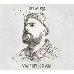 What a Time to Be Alive - Vinilo en oferta