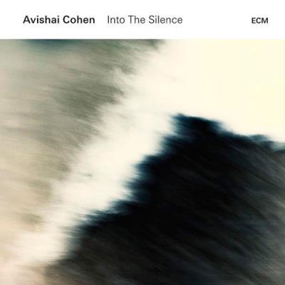 Into the Silence (Edición vinilo)