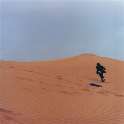 Run fast, sleep naked - Vinilo