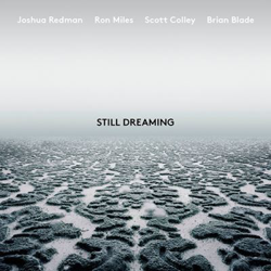 Still Dreaming precio