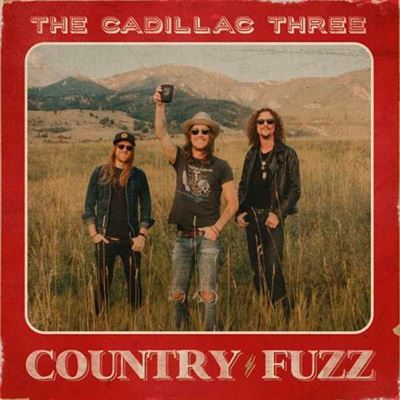 Country Fuzz - 2 Vinilos