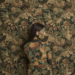 In Plain Sight -Coloured-   - Vinilo precio