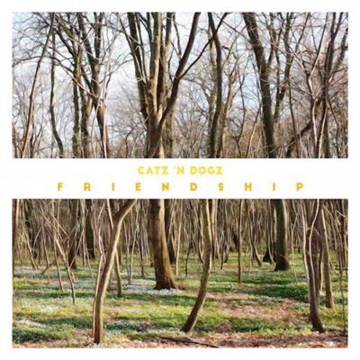 Friendship - 2 vinilos