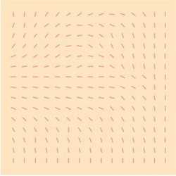 Gliss - Vinilo características