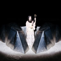 Blood Donation - Vinilo características