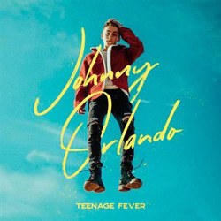 Teenage Fever - Vinilo características