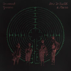 How to Build a Maze - Vinilo características