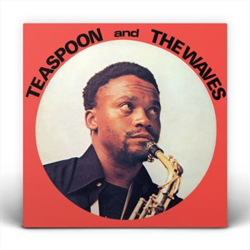 Teaspoon & The Waves - Vinilo precio
