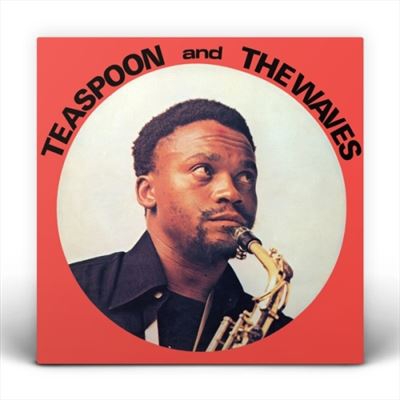 Teaspoon & The Waves - Vinilo