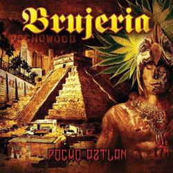 Pocho Aztlan - 2 vinilos color precio