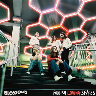 Foolish Loving Spaces Ed Deluxe - 2 CDs