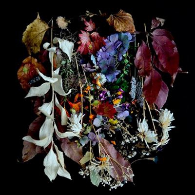 Your Church on My Bonfire - Vinilo