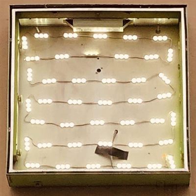 Basking In The Glow - Vinilo