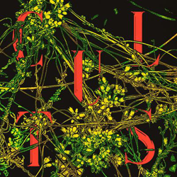 Host - Vinilo características