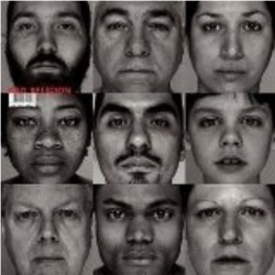 The Gray Race en oferta