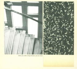 When You Walk A Long Distanceyou Are Tired precio