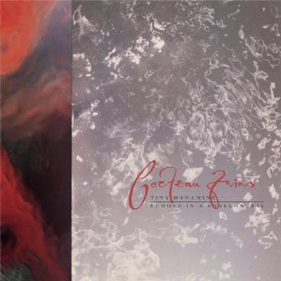 Tiny Dynamite/Echoes In A Shallow Bay - Vinilo