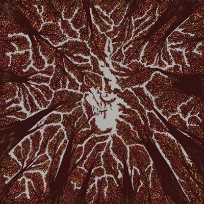 Crown shyness