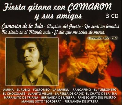 Fiesta gitana con Camarón y sus amigos