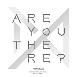 Take 1 - Are You There? características