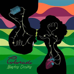 Nuestros Circuitos - Vinilo características