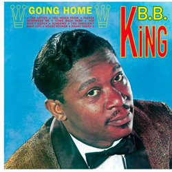 Going Home (Edición vinilo) características