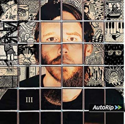 III - Vinilo características