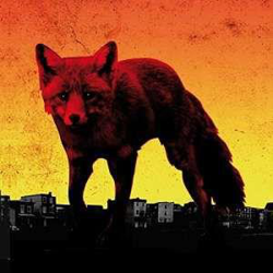 Day Is My Enemy Ed Box Set - 3 Vinilos en oferta