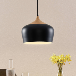 Lindby Vilsera lámpara colgante en negro precio