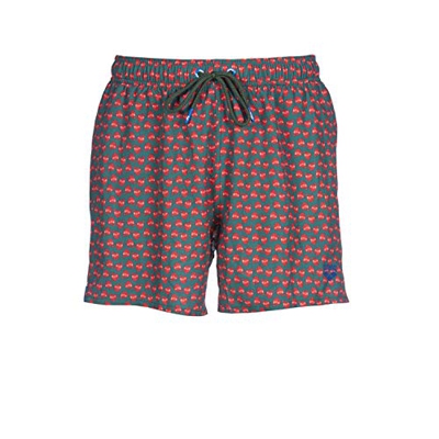 ARENA Bañador Jimbaran Short, Hombre, Wood Green Red, 2XL