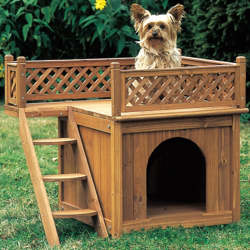 Caseta de perro Country Daisy precio