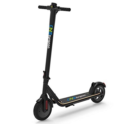 CNSturgeon Patinetes Eléctricos, Neumático Sólido de 8,5 Pulgadas E-Scooter Plegable con Pantalla LCD - Motor de 250W - Velocidad Máxima de 25 km/h - 