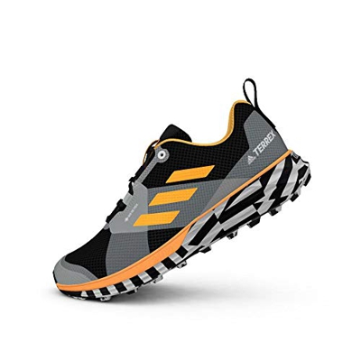 adidas Terrex Two GTX, Zapatillas de Running Hombre, Dorsol/NEGBÁS/FTWBLA, 43 1/3 EU