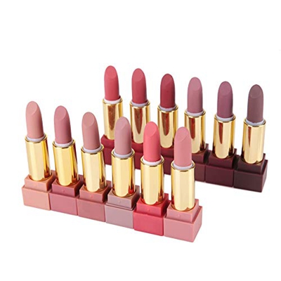 Set de lápiz labial de brillo de labios mate de 12 colores, colores de moda impermeables de larga duración Juego de brillo de labios para fiestas Etap