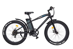 Bicicleta Eléctrica SK Off Road [Regalo Casco y Guantes skateflash] Potencia -250W - Bateria LG Litio 36V 10 Ah - 25 Km de autonomía - Color Negro características