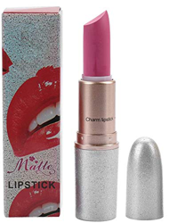 Lápiz labial de maquillaje profundo Lápices labiales hidratantes Impermeable Cosméticos de larga duración Lápices labiales Brillo de labios Herramient características