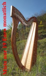 15 Euro Gutschein für Miete Irisch Keltische Harfe  Harp 27 Saiten incl Tasche en oferta