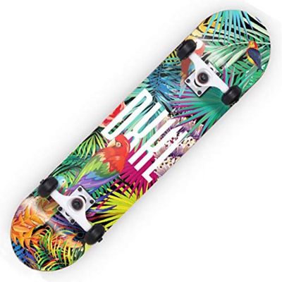 HBHHYRT 31×8 Inch Skateboard Skateboard Completo 7 Capas De Arce De Alta Tenacidad Tabla De Skate para Adultos, Adolescentes Y Niños,Flowers Birds