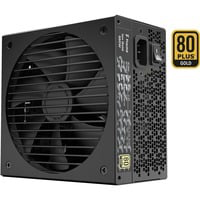 ION Gold 550W, Fuente de alimentación de PC características