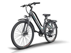 ESKUTE 28'' E-Bike Bicicleta Eléctrica de Trekking Holandesa para Adultos Unisex, Batería de Litio Extraíble 36V10Ah, 250W Motor Trasero, Compañero Fi características