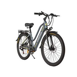 Skyzzie Bicicleta eléctrica de montaña Bicicleta de Trekking para Mujer ebikes,350W,Batería 48V 9.6Ah,Unisex Adulto,26"/24" características