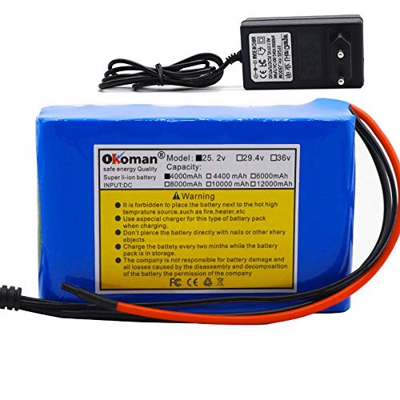 Paquete De Batería De Iones De Litio 6s2p 24V 4Ah 25.2v 4000mAh Batería De Iones De Litio para Ciclomotor De Bicicleta Eléctrica con BMS + Cargador